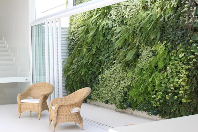 Jardim vertical: como ter um em seu apartamento